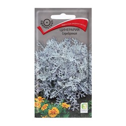Семена цветов Цинерария "Серебряная" 0,2 г