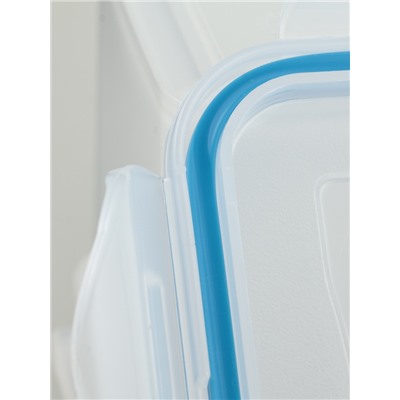 Контейнер для хранения еды Good & Good, 800 мл, с герметичной крышкой, пластик, прозрачный