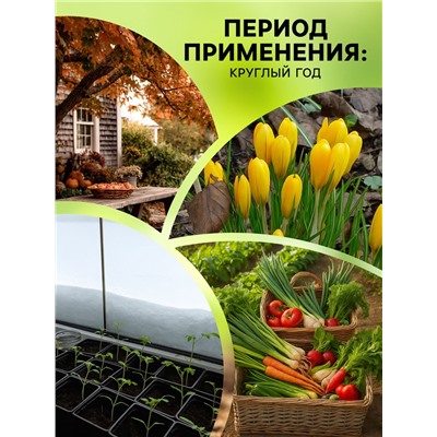 Средство от насекомых и вредителей «Метаризин», 250 г