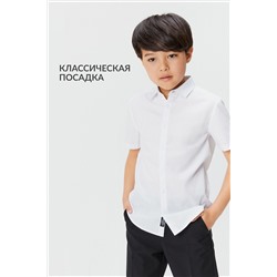 Рубашка ACOOLA, 1038802