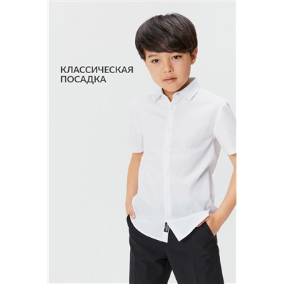 Рубашка ACOOLA, 1038802