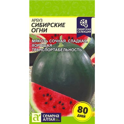 Арбуз Сибирские Огни Сем.Алтая