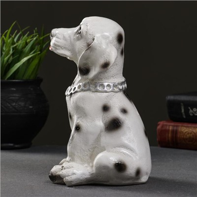 Копилка для денег «Далматинец с цепью», гипс, 18 см