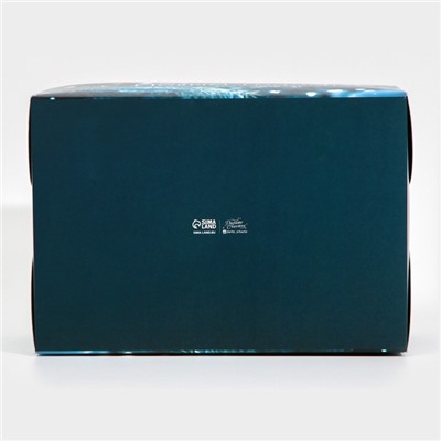 Коробка для капкейка «Новый год», 23×16×10 см