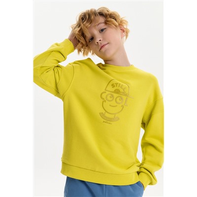 Толстовка для мальчиков PELICAN, 1236461