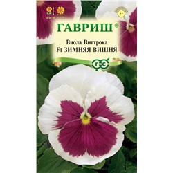 Виола Зимняя вишня F1 (Гавр)