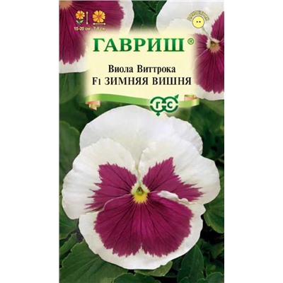 Виола Зимняя вишня F1 (Гавр)