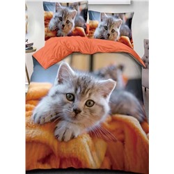 Постельное белье #23066197