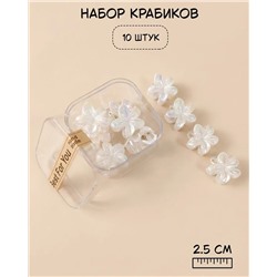 Набор крабиков для волос в боксе (10 шт)