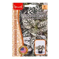 Семена цветов Гипоэстес Сплэш Селект Белый (Splash Select White)(PanAmerican Seed) 4шт.  12.29 г. 10