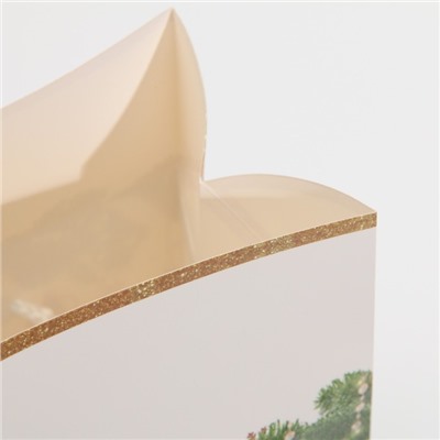 Пакет - коробка подарочный новогодний «Подарок для тебя», 23×18×11 см