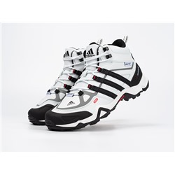 Зимние Ботинки Adidas Terrex Winter