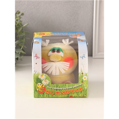 Набор для выращивания «ЭкоЖивчик. Домовой», фигурка растущая в подарочной упаковке