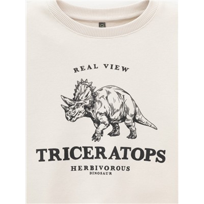 CROCKID Свитшот КР 302851