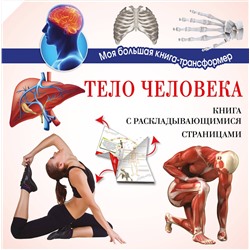 АСТ . "Тело человека"