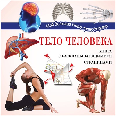 АСТ . "Тело человека"