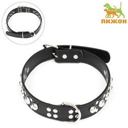 Ошейник «Сириус», 56×3 см, ОШ 42-52, с заклёпками, искусственная кожа, чёрный