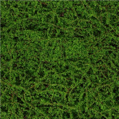 Декоративная панель, 90×40 см, «Мох», Greengo
