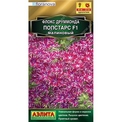 Флокс Попстарс F1 малиновый (Аэлита)