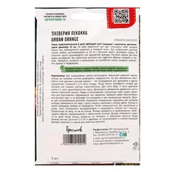 Семена цветов Эхеверия Urban Orange пекокка  5др.  12.29 г.