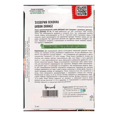 Семена цветов Эхеверия Urban Orange пекокка  5др.  12.29 г.