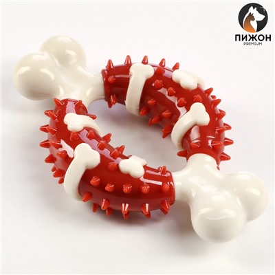 Игрушка для собак «Кость» Пижон Premium, 12.5 см, TPR+нейлон