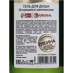 Подарочный набор New Year holidays, гель для душа и шампунь для волос 2×300 мл, URAL LAB