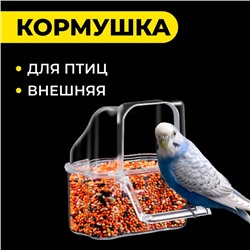 Кормушка для птиц внешняя, 6.7×6.2×8 см