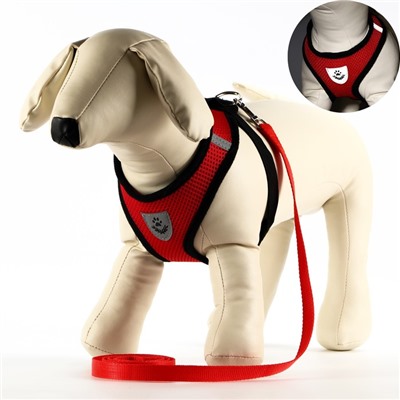 Шлейка с поводком, размер M, ОШ 26, ОГ 36-44, с светоотражающей нашивкой, мягкая, красная