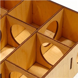 Лабиринт для грызунов, 20×16.7×6 см