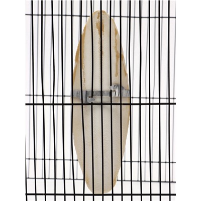 Панцирь каракатицы для птиц, 18 см, белый