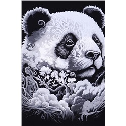 Пижама с шортами. ПД-023-059 НАТАЛИ, 989549