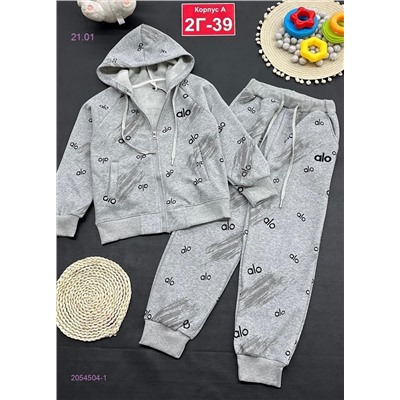 костюм с начесом 2054504-1