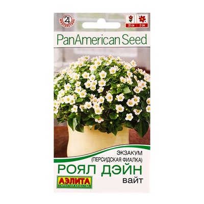 Семена цветов Экзакум (Персидская фиалка) Роял дэйн вайт  (драже)  PanAmerican, Ц/П,4 шт.
