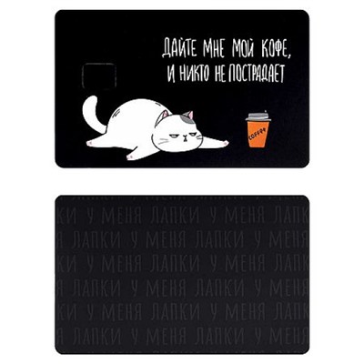 Наклейки  8,6х5,4 см. на банковскую карту 2 шт. "КОТ" ПВХ 71703 Феникс