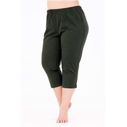 Костюм с бриджами 46524 НАТАЛИ, 887297