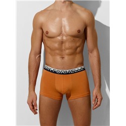 ТРУСЫ МУЖСКИЕ (3ШТ) 411124-3