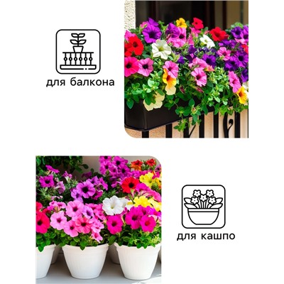 Семена цветов Петуния "Балконная", 0,05 г