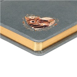 Ежедневник недатированный А6+ 240 стр. "Любовь.Котики приносят счастье.Моранди" 3-745/19 Bruno Visconti