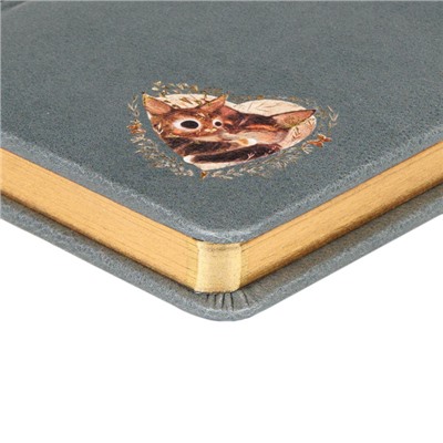 Ежедневник недатированный А6+ 240 стр. "Любовь.Котики приносят счастье.Моранди" 3-745/19 Bruno Visconti