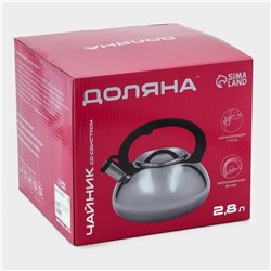 Чайник Доляна «Квант», 2.8 л, со свистком, фиксированная ручка soft-touch, нержавеющая сталь, хромированный