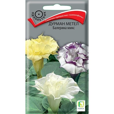 Дурман метел Балерина Микс (Код: 2742)