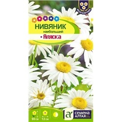 Нивяник Аляска (Алтай)