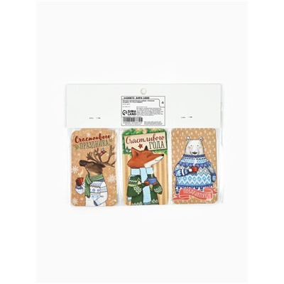 Шильдик декоративный в наборе «Снежные истории», 9×5 см