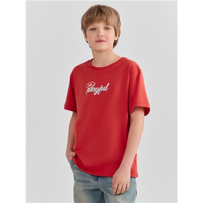 ФУТБОЛКА ДЛЯ МАЛЬЧИКОВ 113433