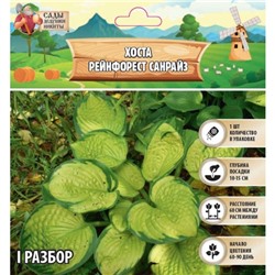 Хоста "Рейнфорест Санрайз", р-р I, 1 шт, Весна 2025