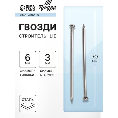 Гвозди ТУНДРА, строительные, ГОСТ 4028-63, без покрытия, 3×70 мм, 5 кг