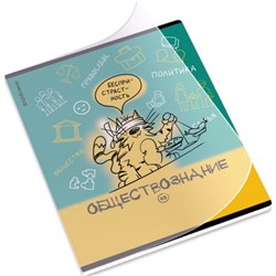 Тетрадь 48л с пластиковой обложкой "Котоформулы" по обществознанию 62534 ErichKrause
