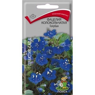 Фацелия Голубая (Код: 67718)