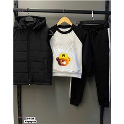 Костюм тройка 1848232-6